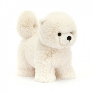 Jellycat Daphne Pomeranian 24 CM X 20 CM | 753621WTM