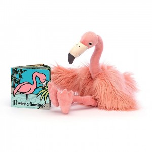 Jellycat If I Were A Flamingo Book and Rosario Flamingo | 284179CBY