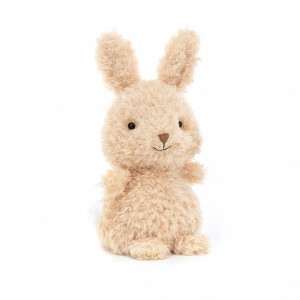Jellycat Little Bunny 18 CM X 10 CM | 874963GNP