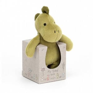 Jellycat My Friend Dino Rattle 12 CM X 5 CM | 726091UBC