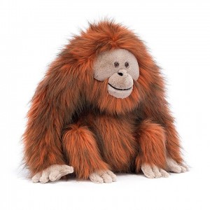 Jellycat Oswald Orangutan 34 CM X 30 CM | 950824RBT