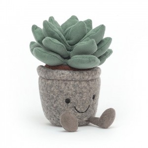 Jellycat Silly Succulent Azulita 16 CM X 7 CM | 897254CJK