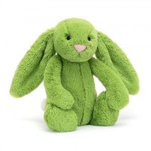 MEDIUM Jellycat Bashful Apple Bunny 31 CM X 12 CM | 795360TVG