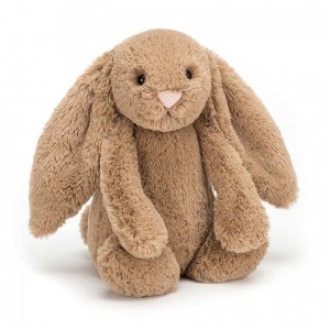 MEDIUM Jellycat Bashful Biscuit Bunny 31 CM X 12 CM | 580723AOK