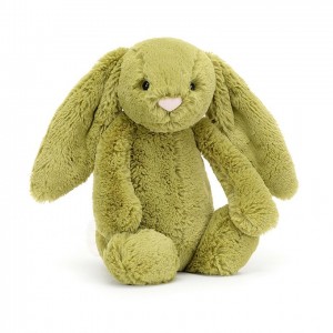 MEDIUM Jellycat Bashful Moss Bunny 31 CM X 12 CM | 670491FSO