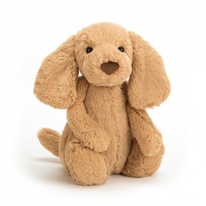 MEDIUM Jellycat Bashful Toffee Puppy 31 CM X 12 CM | 310497UGQ