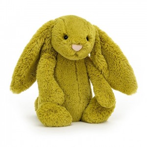 MEDIUM Jellycat Bashful Zingy Bunny 31 CM X 12 CM | 468157GJT