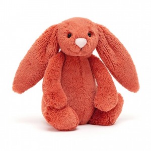 SMALL Jellycat Bashful Cinnamon Bunny 18 CM X 9 CM | 507824IAQ