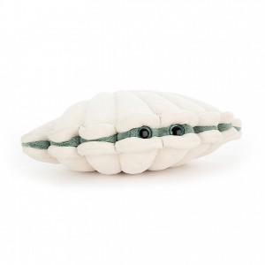 SMALL Jellycat Chloe Clam 13 CM X 20 CM | 673420IER
