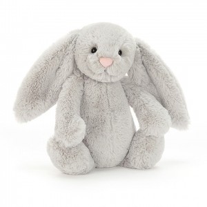 TINY Jellycat Bashful Silver Bunny 13 CM X 6 CM | 908274YXD